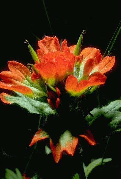 �11
