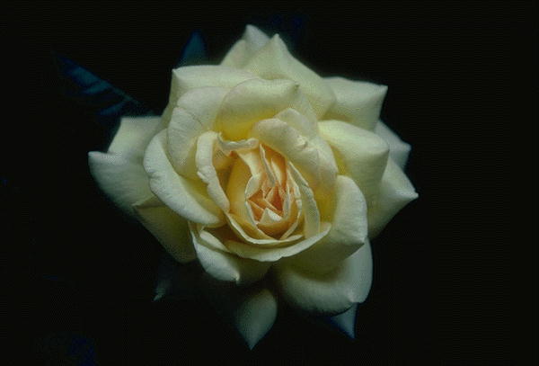 �21