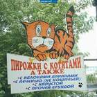 Владивосток, Луговая... нет уже этой вывески, видать, все сожрали уже... pic