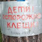 А клещи видимо забыл электрик. pic