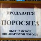 меняю на депутатов российской круглобрюхой породы pic