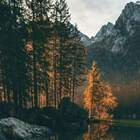 Утро тишины pic