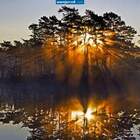 первые лучики pic
