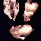 отморозки pic