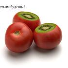 кивидор pic
