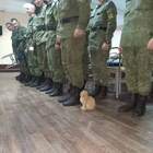 Прапорщик Кудейко вчера обидел Хоттабыча... pic