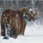 Ну ты заходи, если что... pic