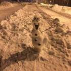 да отпустите вы его уже на покой, уже снег давно растаял pic