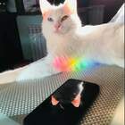 26905