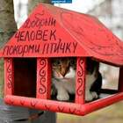 "Птичку жалко"