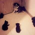 Ты не в тот район зашел pic