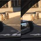 Трикотаж pic