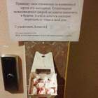 И рафаельки возьмут и в полицию сдадут. pic