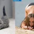 Баба конечно мышей не ловит, но для хозяйства нужнее ) pic