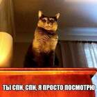 Ночной дозор pic