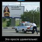 Смотрел бы вечно pic