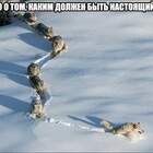 вожак последний а впереди самые слабые, волки не дебилы pic