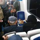 "Мадам, вас обманули! Вам продали не кошачье манто, а гораздо более дорогой мех!"
