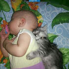 Две ляльки :-) pic