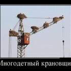 Заморозили строительство роддома pic