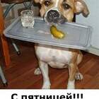 Друг в беде не бросит, опохмел приносит! pic