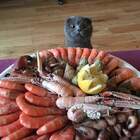 Оп-па...тортик! pic