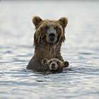 А это я на море с предками.. pic
