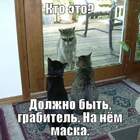 не, брат, мы Мистер Икс не любим pic