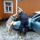 "Консилиум"