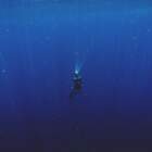 И тогда с подводной лодки, послан был гонец за водкой. pic