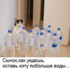 Пап, поручение выполнил. Приедешь - открой. pic