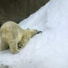 Жара: -30! pic