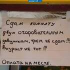 Дедуль, я в доле. Сдадим трём. pic