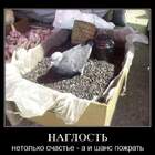 "Летел на помойку, а попал в рай..."