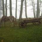 "Не в коня корм"