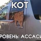 Полировал говоришь машину??!!! pic