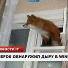 Щас хакну курочку pic