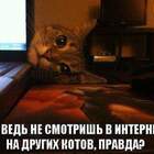 Говори только правду... И только с три короба!!! pic