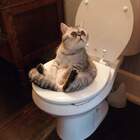 Занято! pic