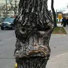 Суров,подлец!!! pic