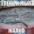"покрыть лаком!"