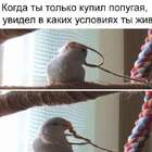 "Ээээх, Рома!"