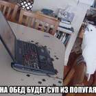 "хозяин дятел"