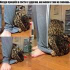 Незнакомое дупло pic