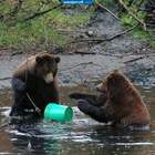 Мужик! Вылезай из-под воды! А то хуже будет! pic