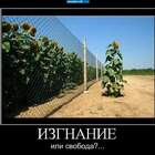 "мы все за решеткой. одни с одной стороны, другие с другой"