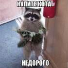 А еще я его постирал... pic