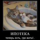 И жить где есть! pic