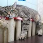 Тут и буду ждать весну pic