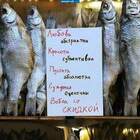 "Философ в поисках работы"
